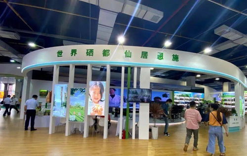 建南多款產品閃耀硒博會，舞今信息引領科技新風尚